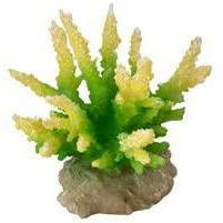Aqua Della della Decorazione Acquario Corallo hydn opora, Lime Aqua Della della Decorazione Acquario Corallo hydn opora, Lime